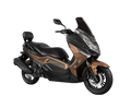 BARTON B MAX 125cm
