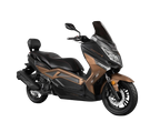 BARTON B MAX 125cm